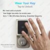 Gold-Plated Koa Wood Band Inlay RFID Ring